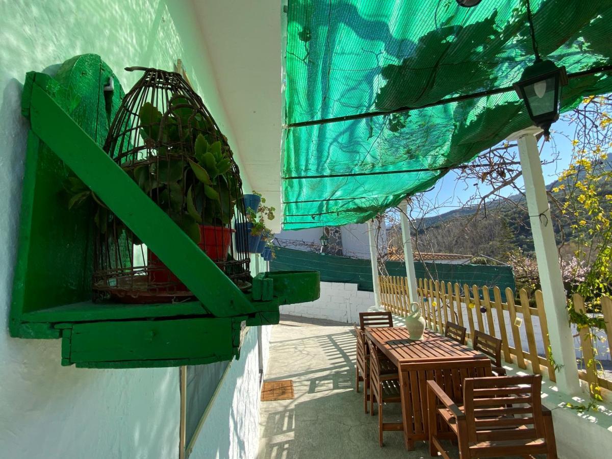 La Huerta Del Castillo Con Su Caz De Agua - Enjoy Life & Relax Кастильо-де-Локубин Экстерьер фото